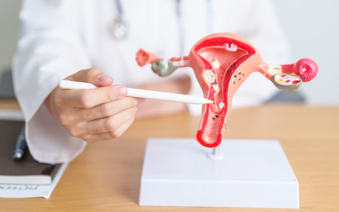 ¿Tienes el ciclo menstrual irregular? Cuándo acudir al ginecólogo