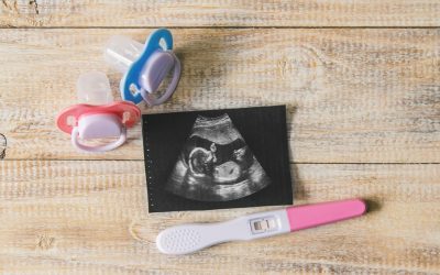 Cómo saber si es niño o niña en ecografía 12 semanas y qué esperar