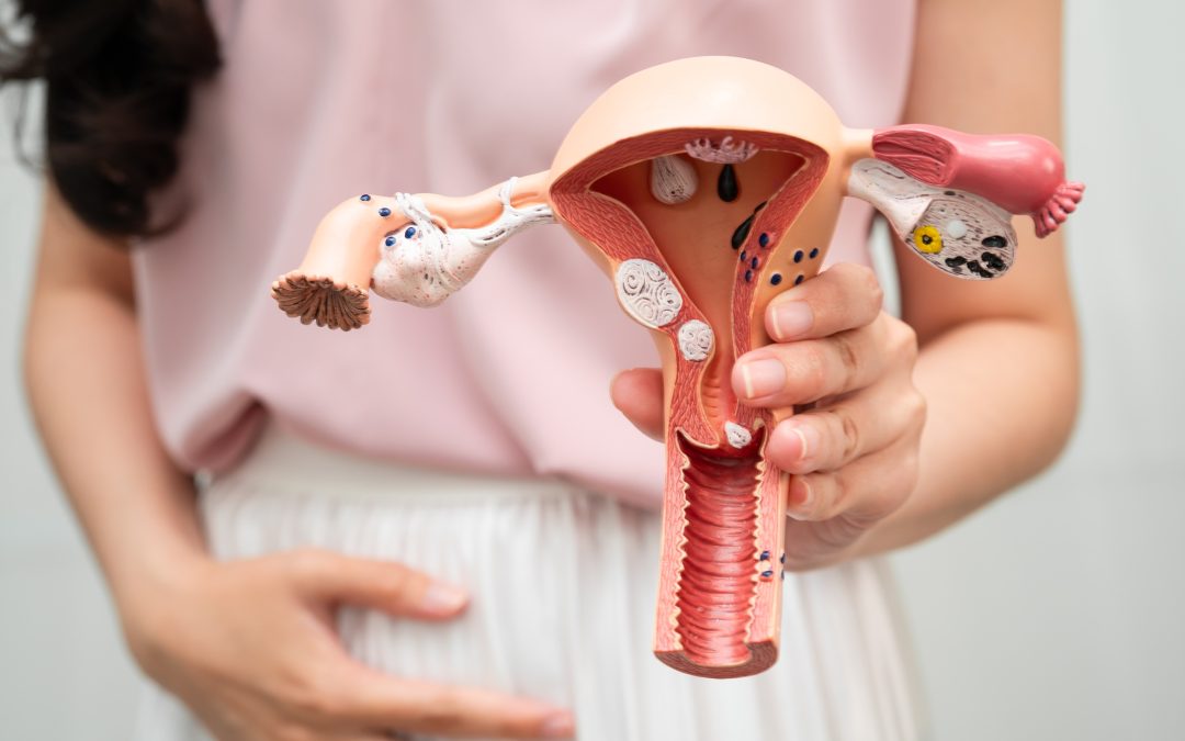 Cuándo ovula una mujer: cómo identificar el periodo fértil con mayor precisión