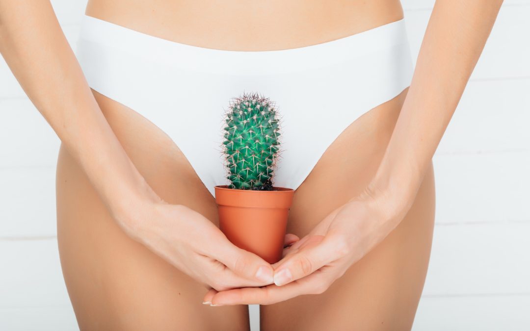 Dolor y sequedad vulvar: causas, tratamientos y soluciones efectivas hoy