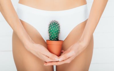 Dolor y sequedad vulvar: causas, tratamientos y soluciones efectivas hoy